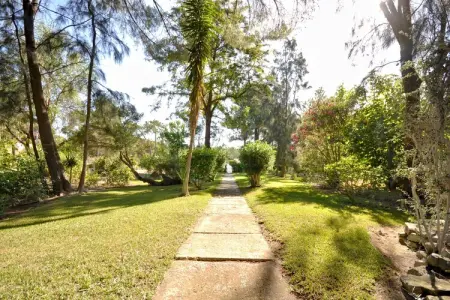 Casa Violeta, Villa à Almancil avec Piscine et Golf - Photo 28