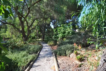 Casa Violeta, Villa à Almancil avec Piscine et Golf - Photo 29