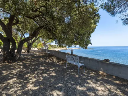 Maison Polpu à Solenzara, 50 m de la plage - Photo 21