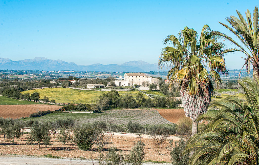 Can Corem de Son Moix, Maison 12 personnes à Manacor - Photo 33