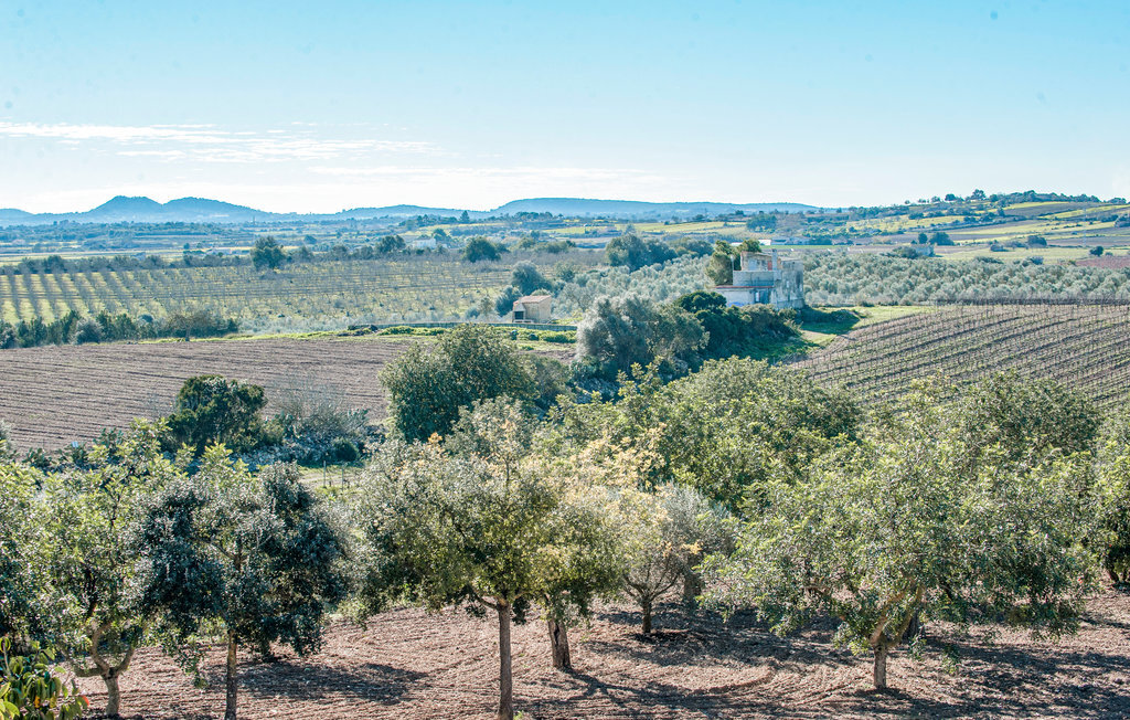 Can Corem de Son Moix, Maison 12 personnes à Manacor - Photo 35