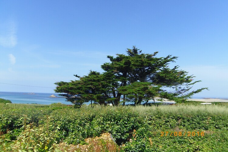 Maison bretonne en pierre à 50 m de la mer - Photo 21