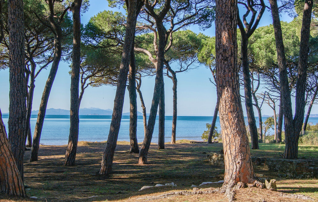 Maison 8 personnes à Piombino - Photo 6