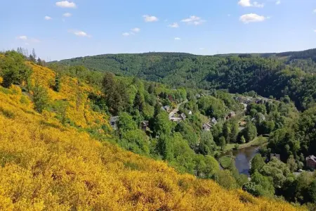 Symon Lodge, maison d'architecte à La Roche en Ardennes : photo 35