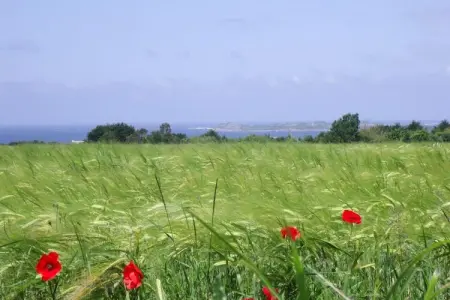 Maison en pierre vue sur mer, Trédrez-Locquémeau : photo 17