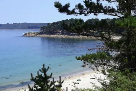 Maison en pierre vue sur mer, Trédrez-Locquémeau : photo 20