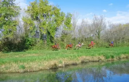 Maison 3 chambres avec jardin et vue sur canal à Aigues-Mortes : photo 29