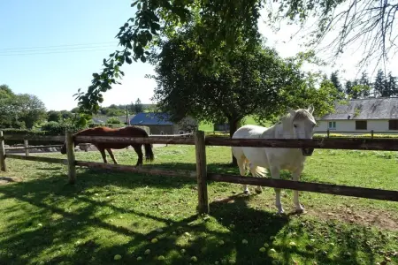 Maison de campagne Saint Ovin, 8 personnes près du Mont St Michel : photo 26