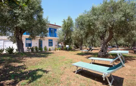 Location maison à Palmi, Panoramic house