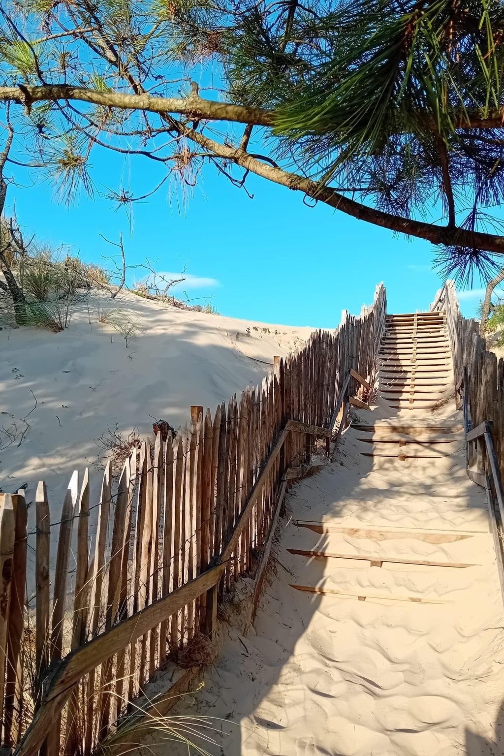 Maison Agur à Mimizan, 100 m de la plage - Photo 25