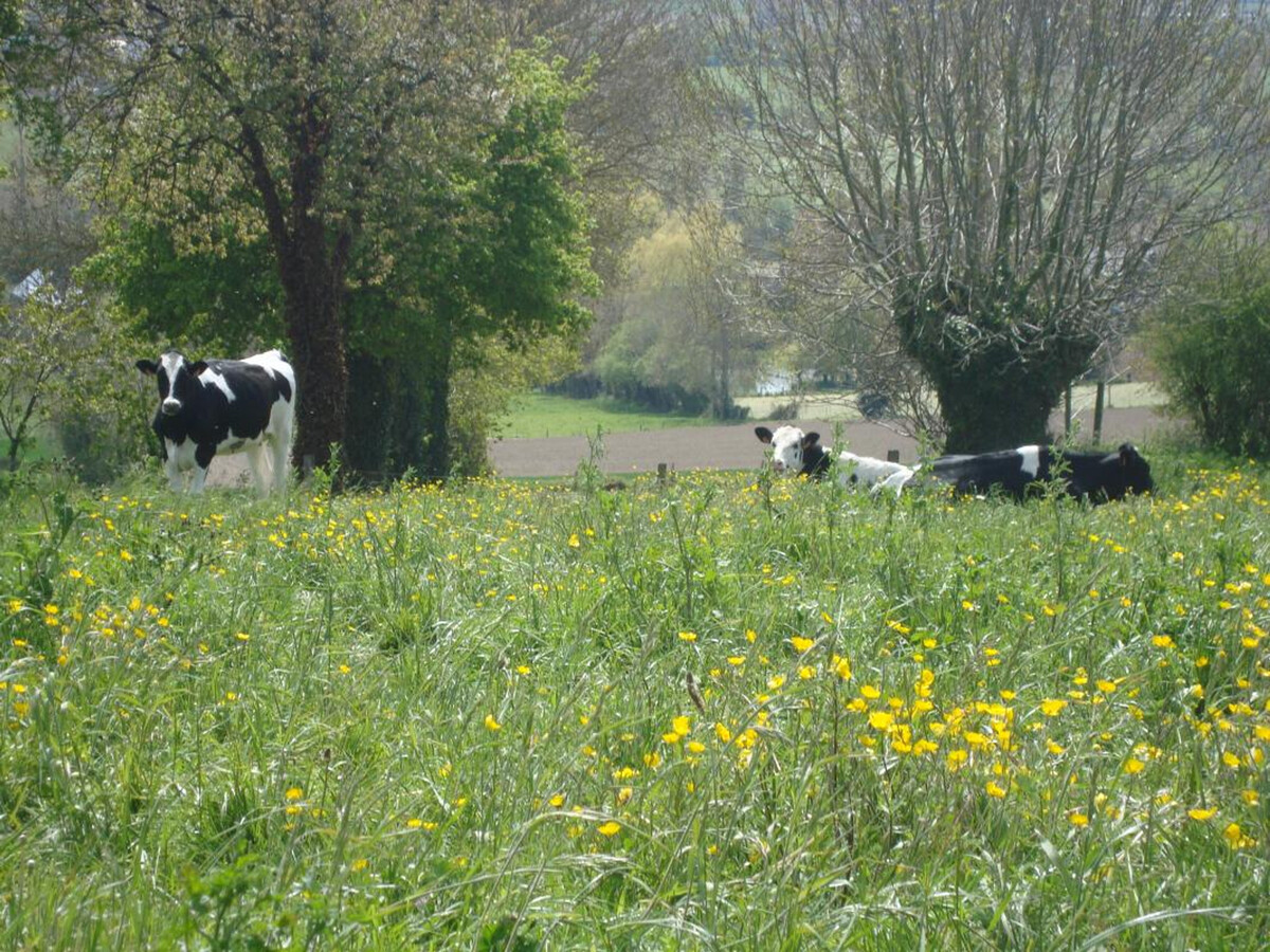 Gîte 4 personnes avec jardin et vue vallée à Saint-Quentin - Photo 17