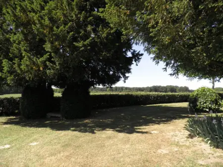 Fermette XIXe rénovée, proche zoo Beauval, animaux admis, jardin 1700m² - Photo 14