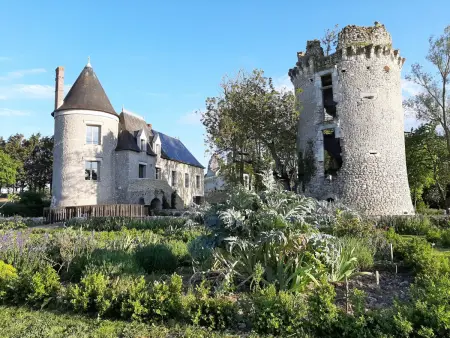 Location gite à Saint Bauld, Château exceptionnel avec piscine privée, spa & WiFi