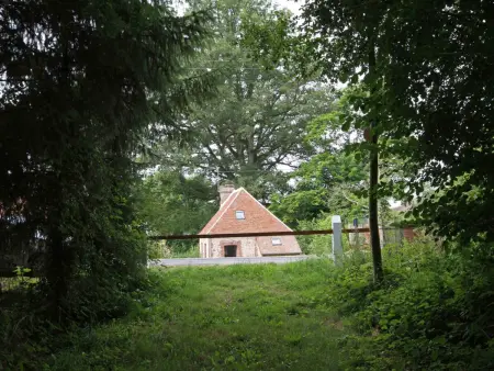 Ancien moulin avec terrasse et animaux acceptés - Photo 12