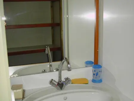 Chalet 5 pers. avec animaux, piscine et terrasse : photo 9