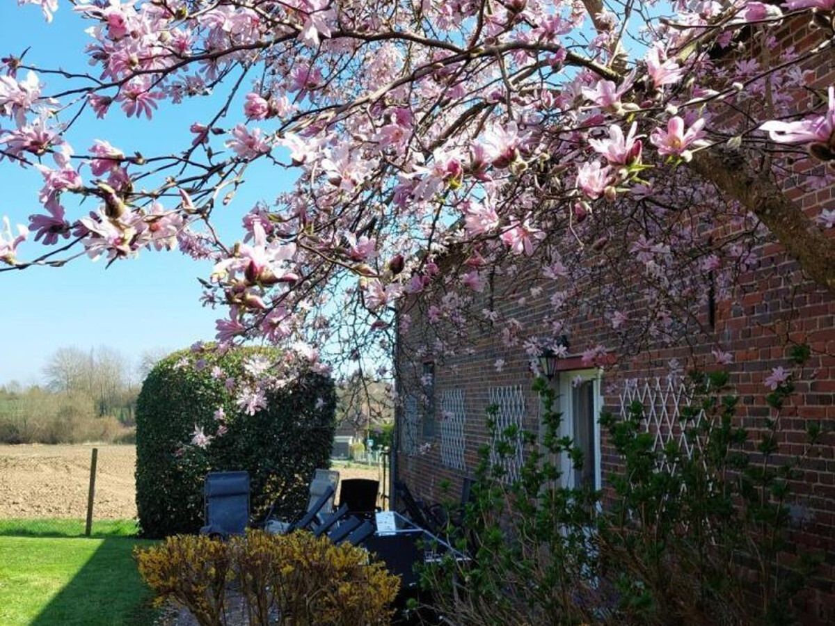 Gîte 11 pers., 400 m² de jardin et cheminée en Picardie - Photo 16