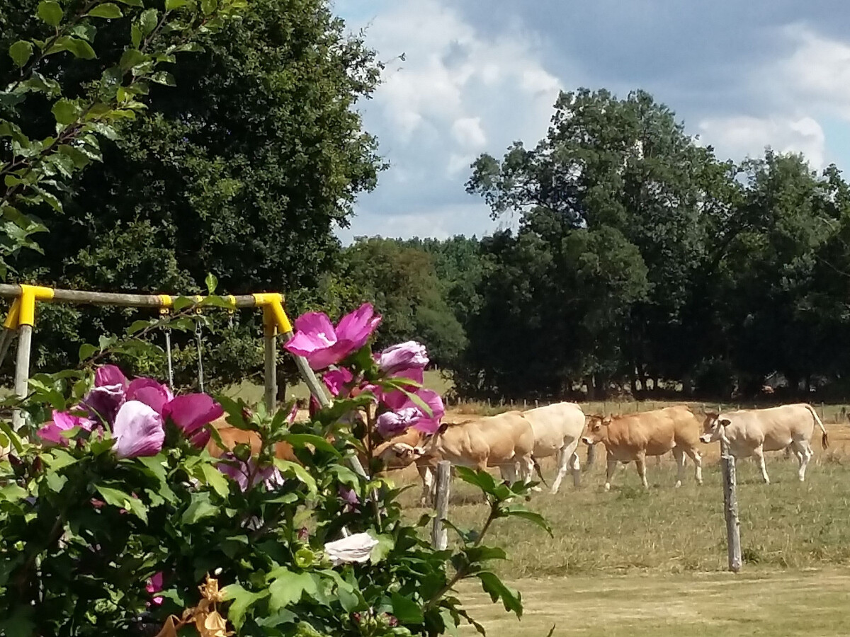 Gîte ancienne ferme avec piscine couverte à Bonnœuvre - Photo 17