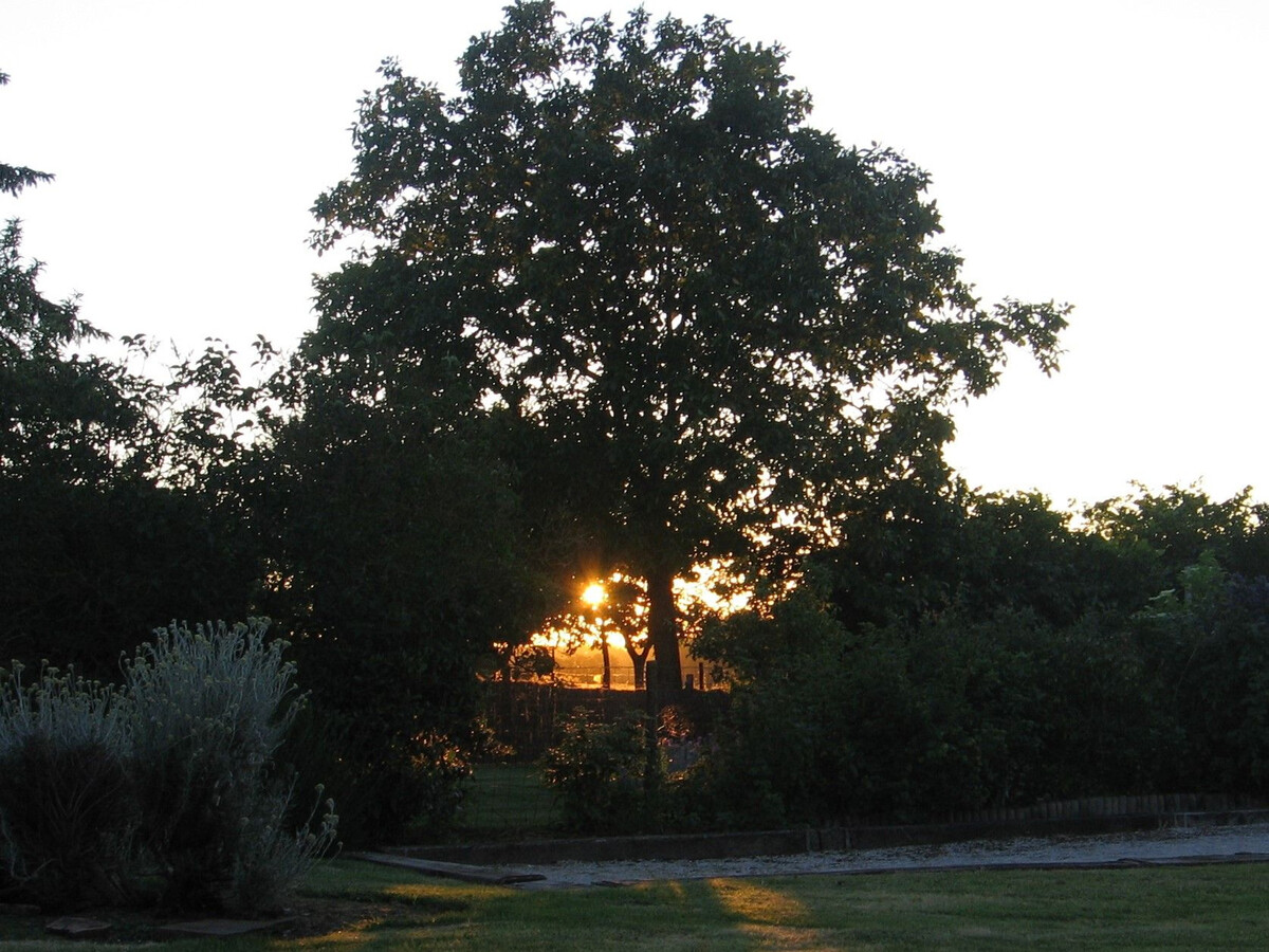 Gîte ancienne ferme avec piscine couverte à Bonnœuvre - Photo 18