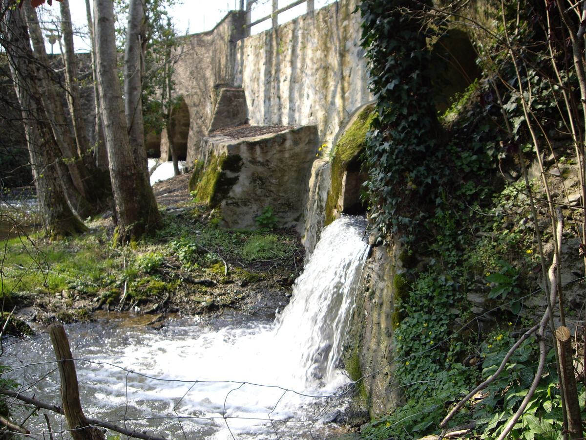 Ancien moulin du XIIe avec pêche à la Vègre - Photo 28
