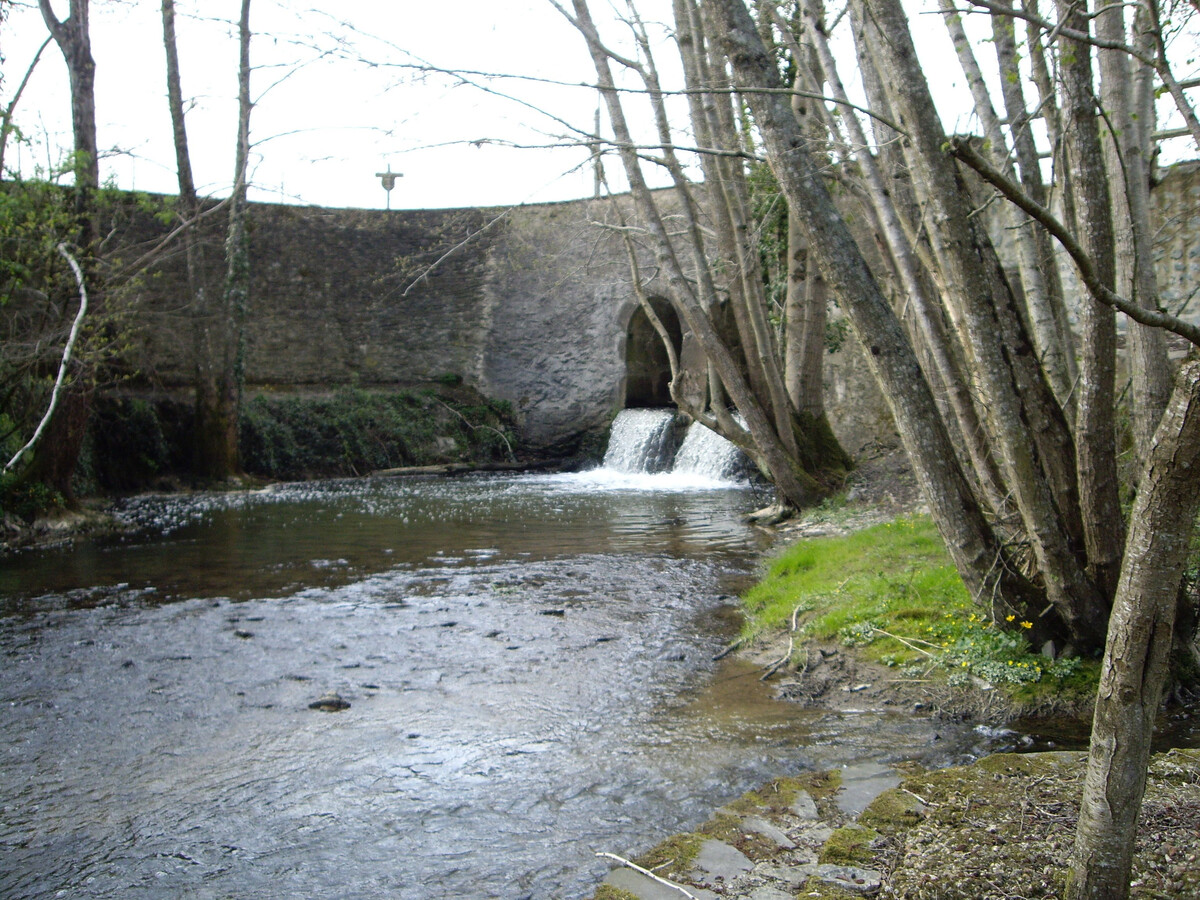 Ancien moulin du XIIe avec pêche à la Vègre - Photo 29