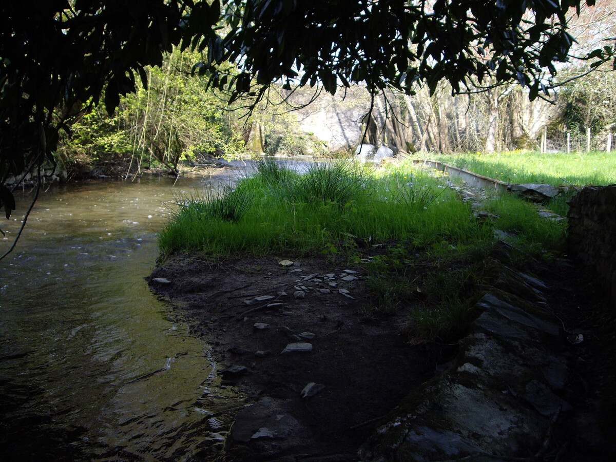 Ancien moulin du XIIe avec pêche à la Vègre - Photo 33