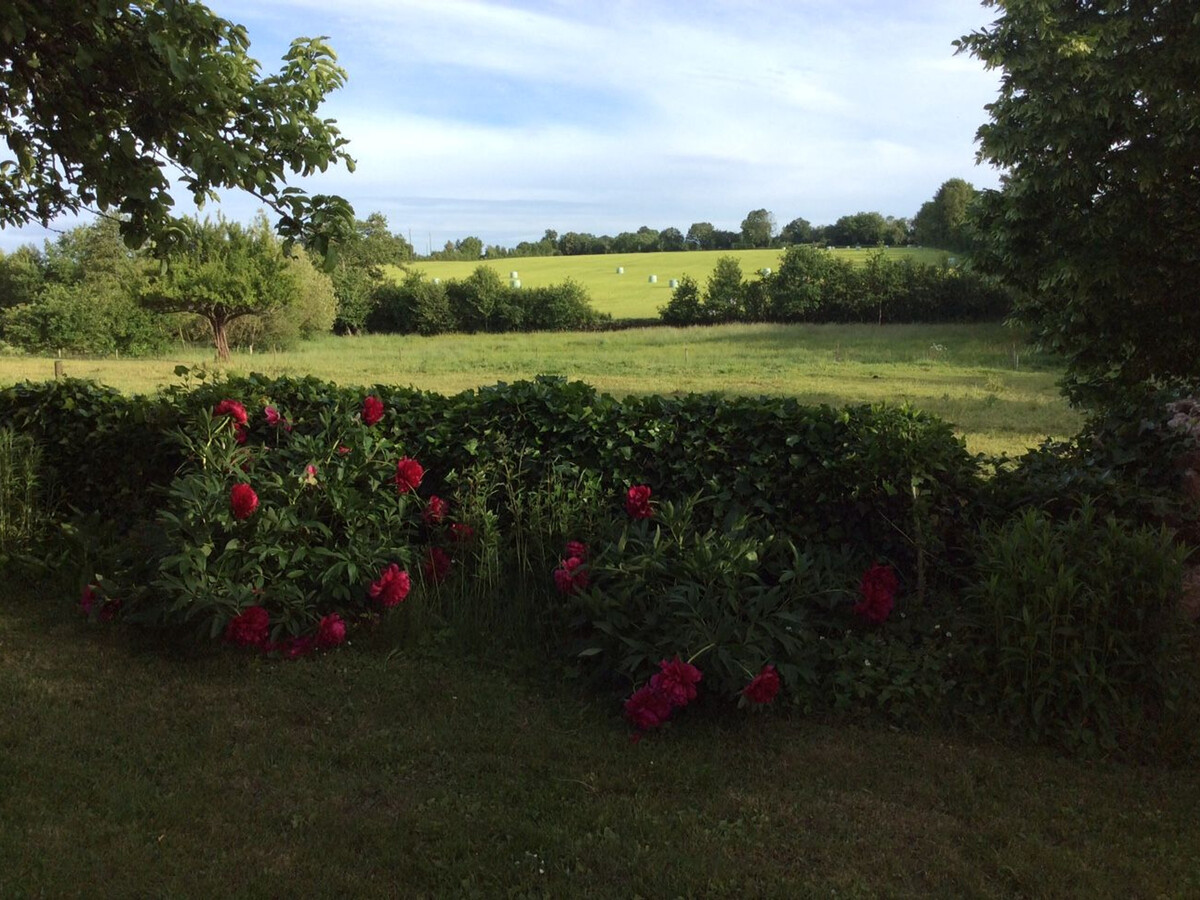 Gîte 8 pers. en forêt, PMR, terrasse – Chemiré-en-Charnie - Photo 23