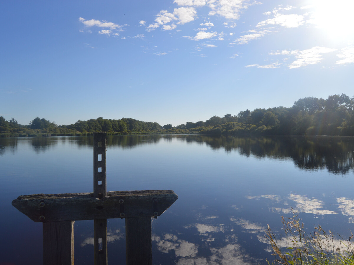 Gîte 4 pers. au cœur de la Brenne, 300 m de la Creuse - Photo 21