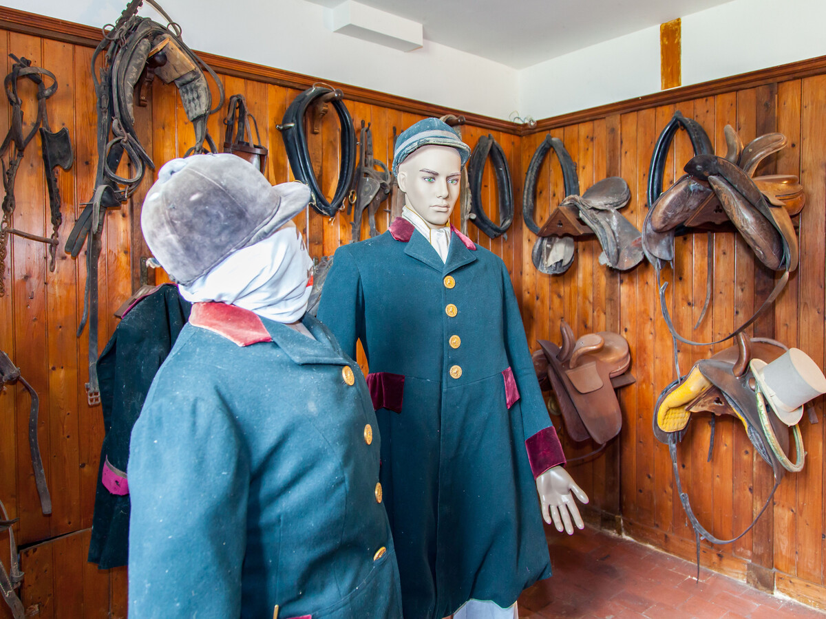 Gîte 8 pers. dans château XVIIIe avec musée à Arthon - Photo 12