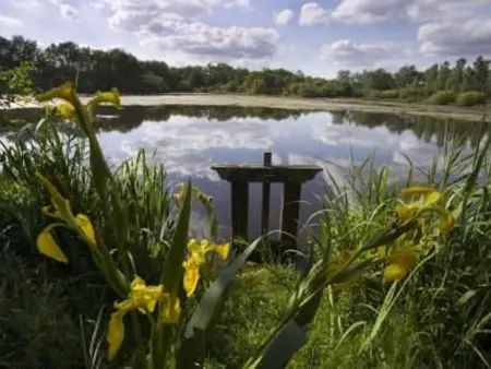 Gîte en Brenne avec vélos, étang et activités nature - Photo 9