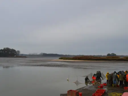 Gîte en Brenne avec vélos, étang et activités nature - Photo 10