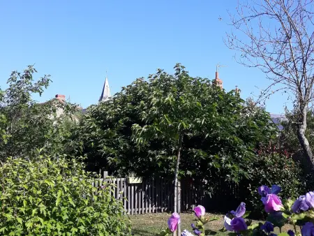 Gîte 4 pers. avec piscine chauffée au Menoux : photo 14