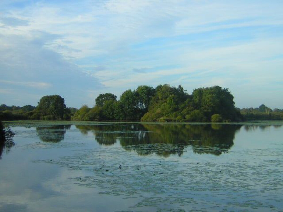 Gîte en bord de rivière, Parc de la Brenne - Photo 23