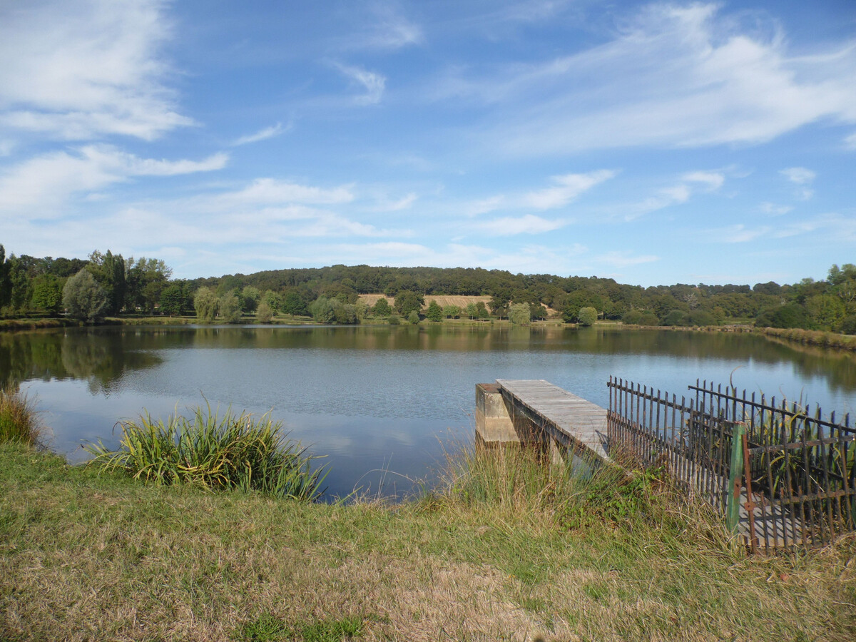 Longère en Brenne avec jardin 2000m², piscine partagée - Photo 27