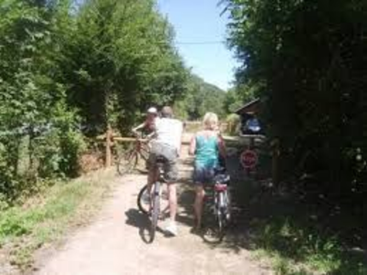 Gîte 8 pers. avec grand terrain à Fontgombault - Photo 21