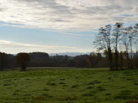 Gîte 5 pers. en Vallée des Peintres, jardin clos : photo 14