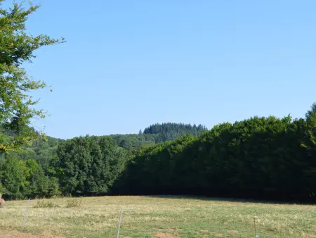 Gîte familial 6 pers. en vallée Noire, grand jardin & base nautique à 5km : photo 7