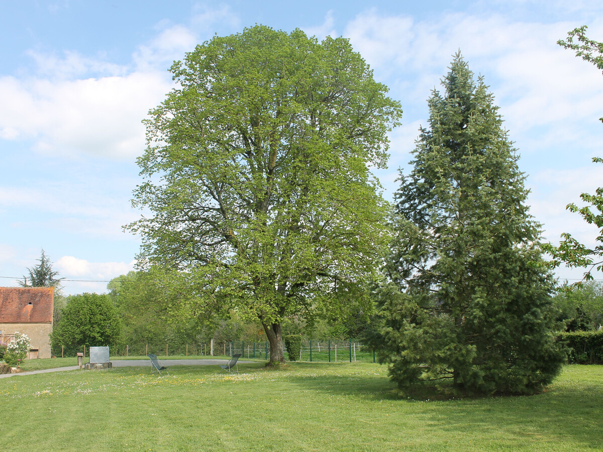 Le Tilleul : gîte 12 pers. à Sarzay, 2000 m² de nature - Photo 29