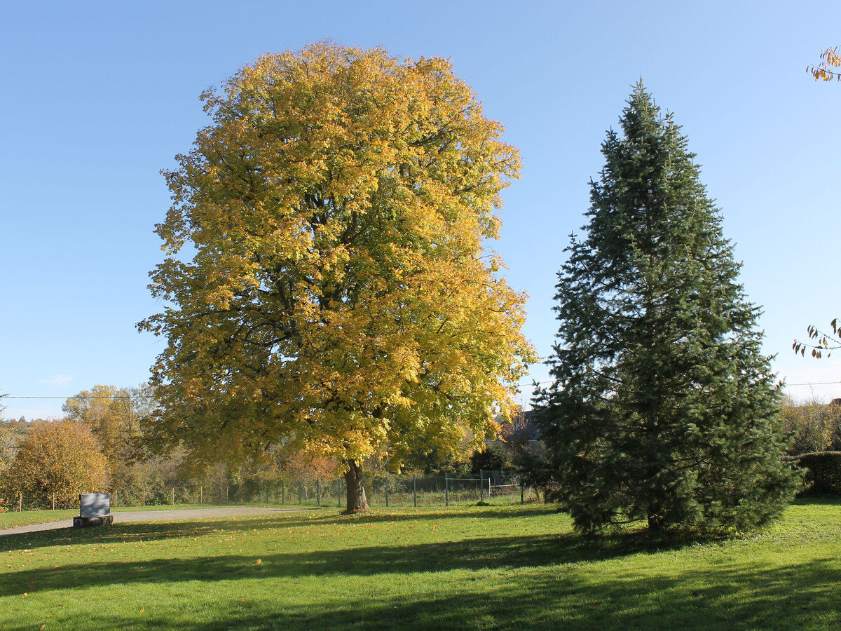 Le Tilleul : gîte 12 pers. à Sarzay, 2000 m² de nature - Photo 31