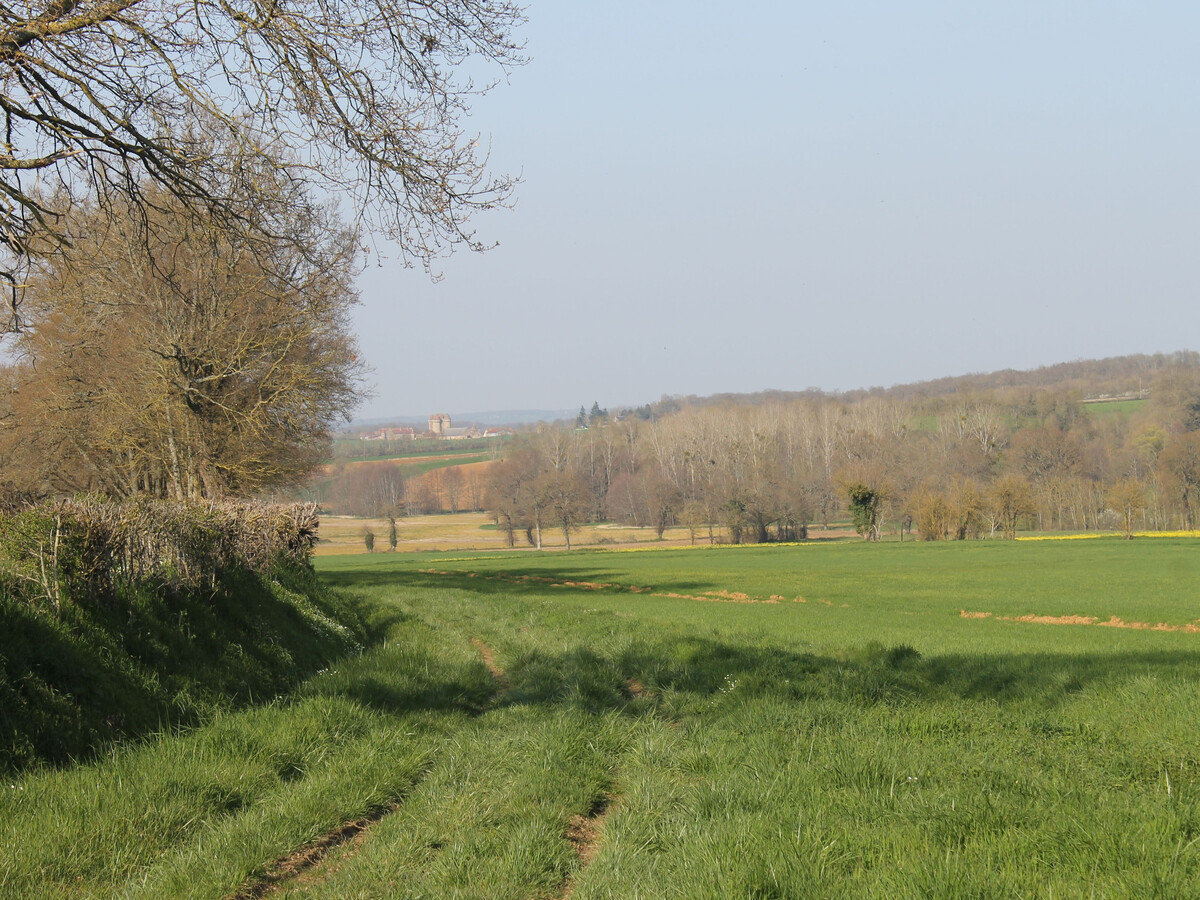 Le Tilleul : gîte 12 pers. à Sarzay, 2000 m² de nature - Photo 36