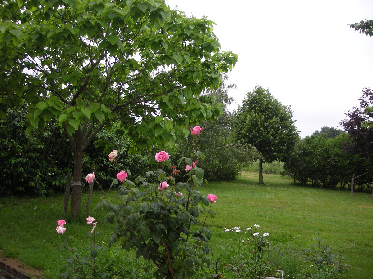 Gîte 12 pers., 6 chambres avec jardin à Argenton-sur-Creuse - Photo 3