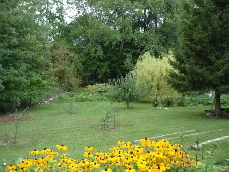 Gîte 6 pers. en campagne entre Orléans et Blois : photo 23