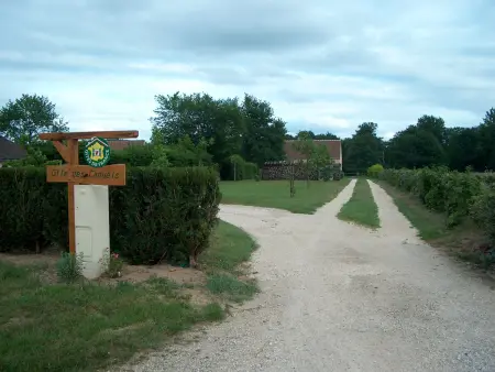 Gîte rural avec sauna et vue sur prairie aux chevaux : photo 20