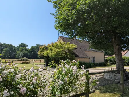 Gîte rural avec sauna et vue sur prairie aux chevaux : photo 21