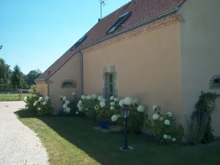 Gîte rural avec sauna et vue sur prairie aux chevaux : photo 22