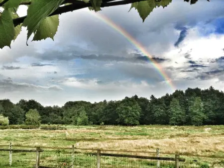 Gîte rural avec sauna et vue sur prairie aux chevaux : photo 23