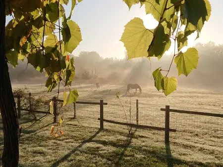 Gîte rural avec sauna et vue sur prairie aux chevaux : photo 25