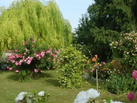 Gîte 4 pers. au calme près de Pithiviers, jardin 700m² : photo 21