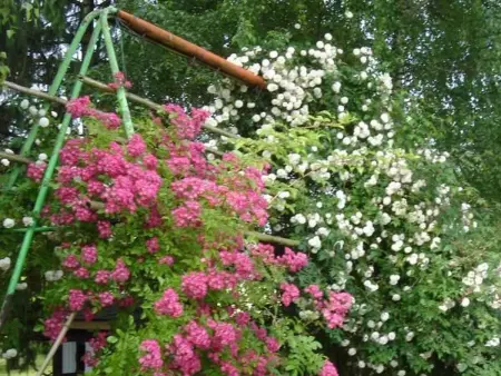 Gîte 4 pers. au calme près de Pithiviers, jardin 700m² : photo 23