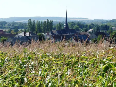 Gîte indépendant avec cour fermée, vue Vallée : photo 21