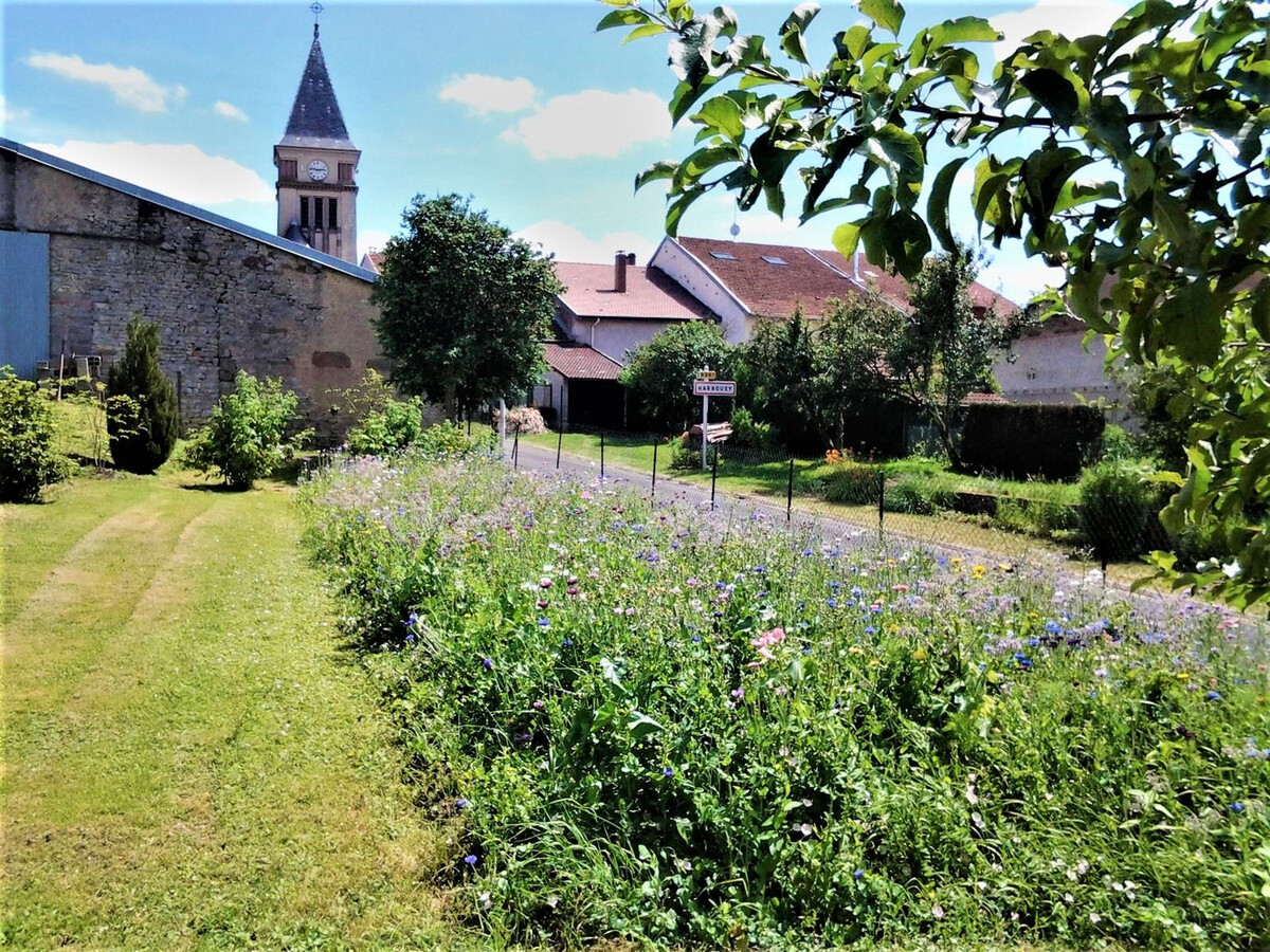 Gîte fermier lorrain 3 chambres, jardin de 30 ares - Photo 2
